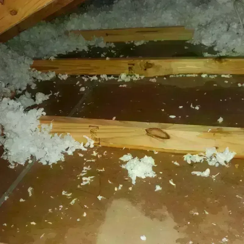 Attic Water Damage in Troup, TX